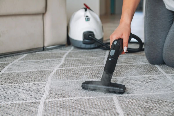 Carpet Cleaning Services Carpet Cleaning Services