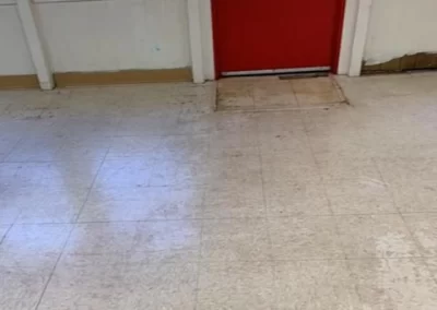 Impeccable Janitorial Services