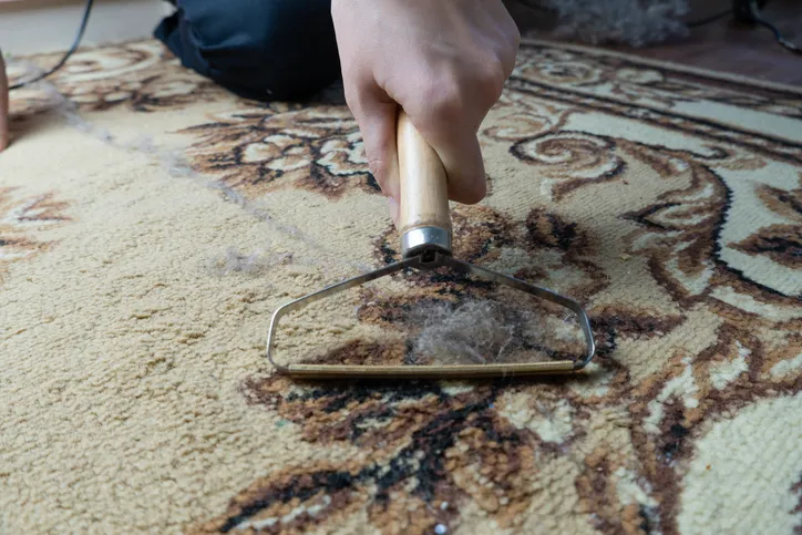 Expert Carpet Cleaning Services Central Islip NY